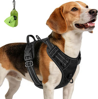 Joytale No Pull Dog Harness Medium Sized Dog, Front Clip - Medium / Black