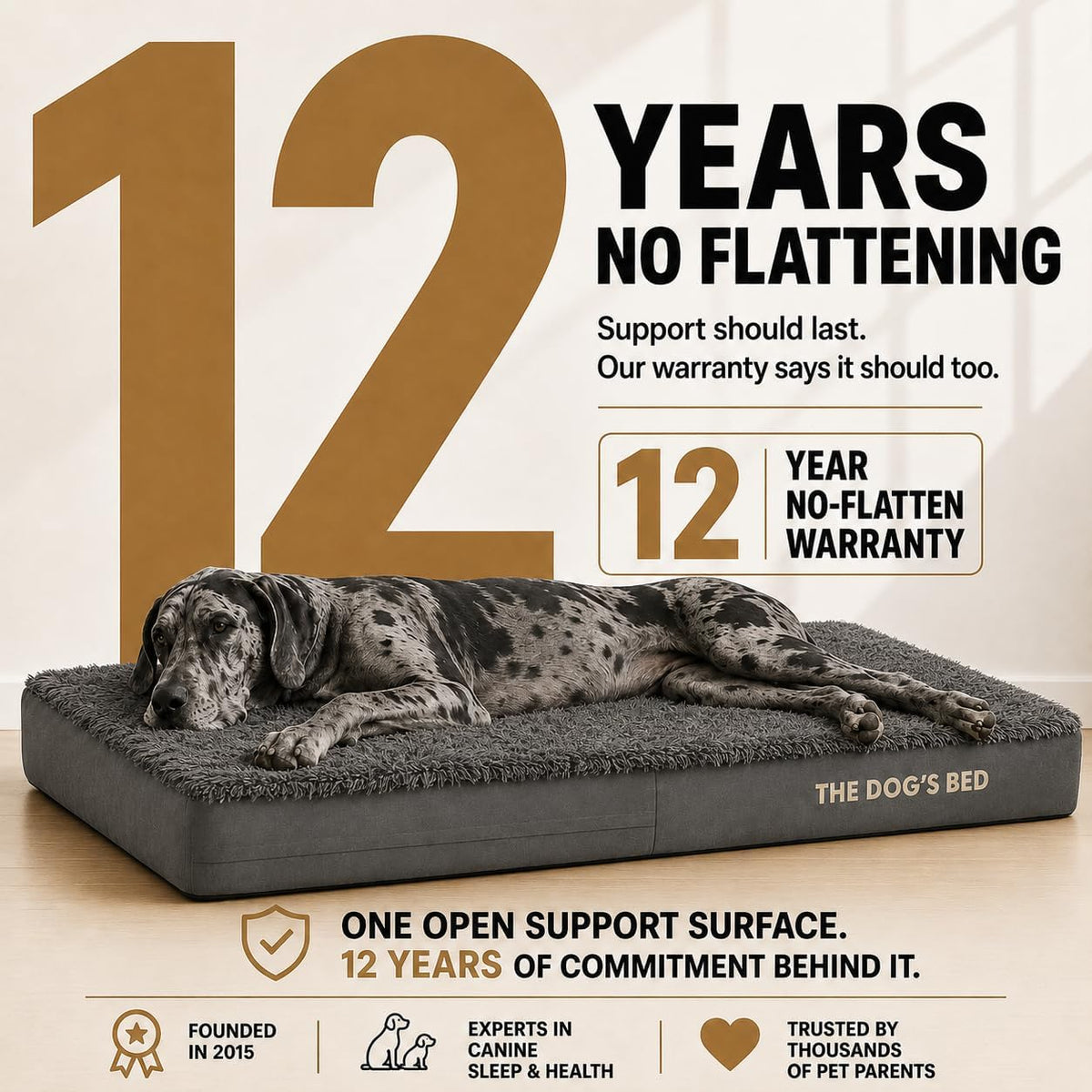The Dog’s Bed Orthopedic Memory Foam Dog Bed - Grey Fur / XXL Beds (6" deep) - image 4