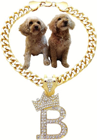Initial Letter Cuban Chain Dog Chain Pet Chain Pet, Cat - B / 22"