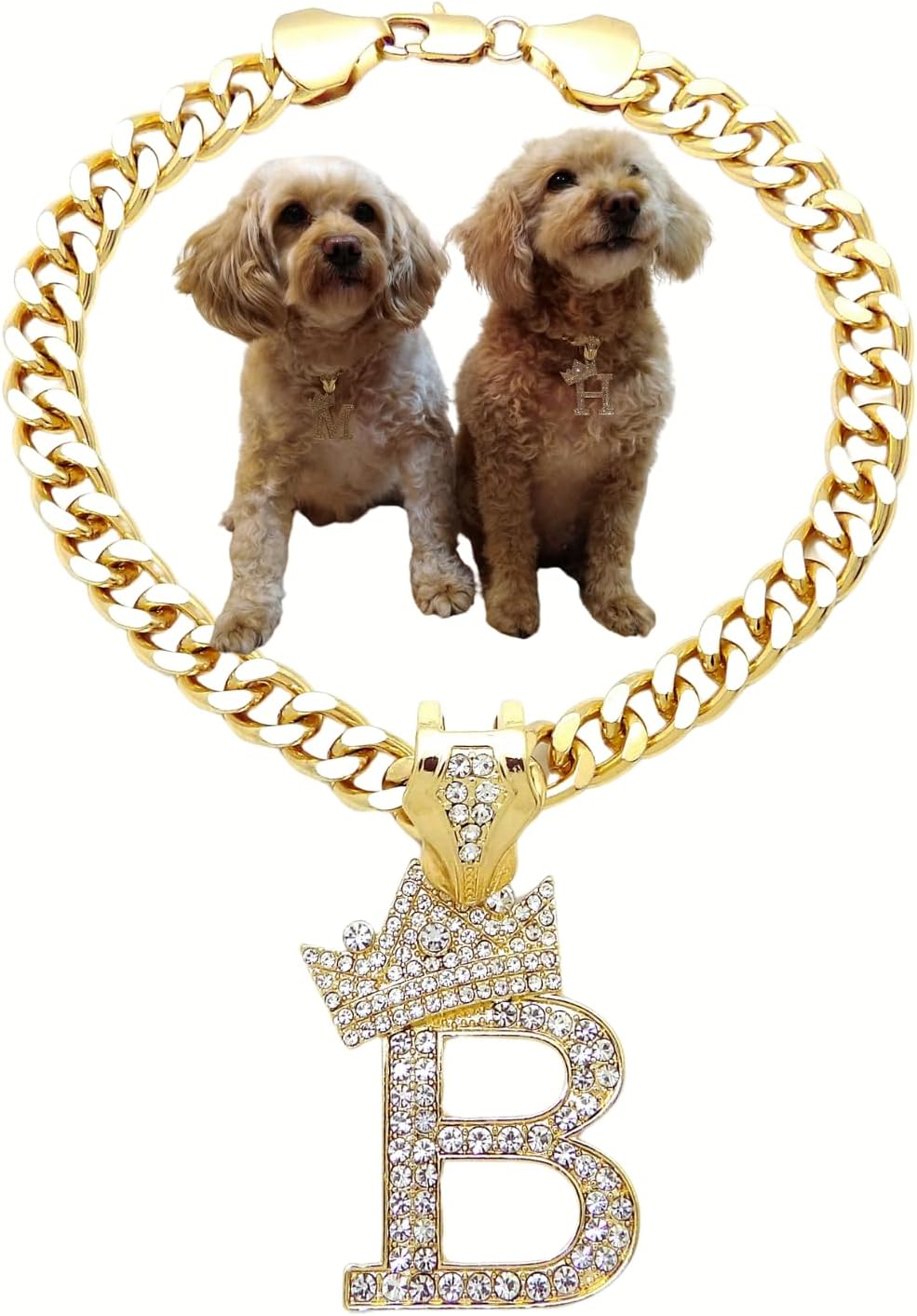Initial Letter Cuban Chain Dog Chain Pet Chain Pet, Cat - B / 22"