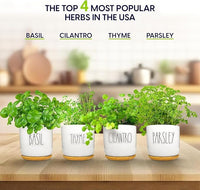 Deluxe Ceramic Indoor Herb Kit 4 Set. Variety Herbs for Indoor & Outdoor – Get Growing with Pots, Potting Soil for Window Herb Garden. (Ceramic Edition)
