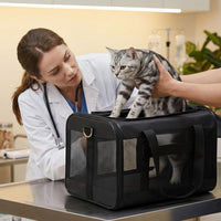 Conlun Cat Carrier Soft-Sided Pets Travel Carriers up to 15 Lbs - Pink / 17.0"L x 11.0"W x 11.0"H - image 3