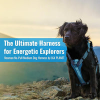 No-Pull Dog Harness with Handle - Escape Proof, Anti-Pulling, Grip Control, Multi-Angle Reflective for Safe Walks & Training, Easy On & Off, Metal Buckle–Pet Harness, Medium/Large Dogs- H3- Blue