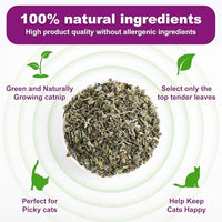 Organic Natural Catnip Cattle Grass Mint Taste Funny Cat Toy New Cat Toy Interactive Cat Toys Pet Supplies