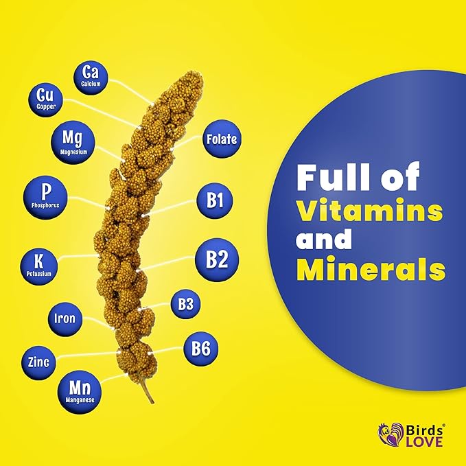 Birds LOVE Economy & Thin Special Spray Millet – 5 lb GMO-Free, No Stems (Only Edible Tops) – Healthy Treat for Cockatiels, Lovebirds, Parakeets, Finches & Canaries