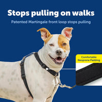 PetSafe 3 in 1 No-Pull Dog Harness, Walk, Train or Travel - Black / Medium (Pack of 1) - image 3