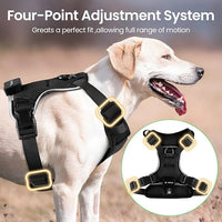 Light Up Dog Harness,Reflective Pet Harness Rechargeable,Led Dog Vest Harness for Night Walking,Adjustable Dog Safety Vest for Small Medium Large Dogs-No Pull,Black,XL