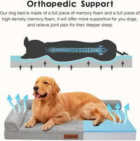 Orthopedic Dog Beds Large Sized Dog, 3 Inch Memory Foam Pet Bed for Medium and Large Dogs, Washable Removable Cover, Nonskid Bottom, Waterproof, 44x32 Inches XXL Light Grey