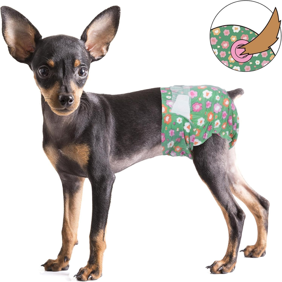 Pet Soft Dog Diapers Female, Disposable Female Dog Diaper - Green Flower / XX-Small(36Pcs) - image 4