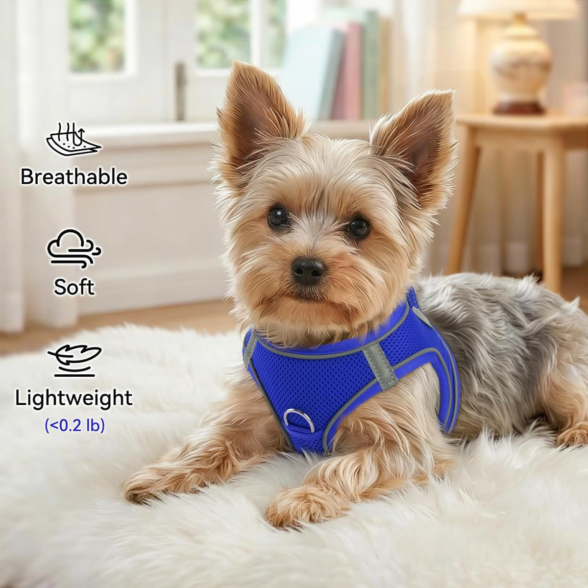 Joytale Step-in Dog Harness, Soft Breathable Mesh, Black S – Essentials for Dogs - XXS--Chest: 12-13.5'' / NavyBlue - image 4