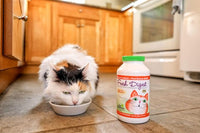 Fresh Digest Daily Digestive Aid and Immune Support Supplement for Cats, Natural Prebiotic and Enzyme Powder for Healthy Stools, Hairball Control, Stop Litterbox Odor, Works Fast 100g/3.5oz