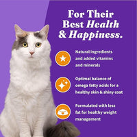 Halo Holistic Cage Free Chicken Cat Food, Grain Free Dry Cat Food, For Healthy Weight Support, Kibble for Indoor Cats, 3 lb Bag