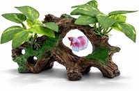2-Pack Aquarium Decor Fish Tank Decorations 6-inch Betta Fish Tank - F Driftwood Cave Silk Plants