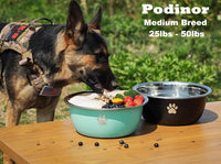 Large Dog Water Bowl 2 Pack, Aqua - Silver - 2 Pack / 0.75 Gallon - M (25- 50lb breed) - image 2