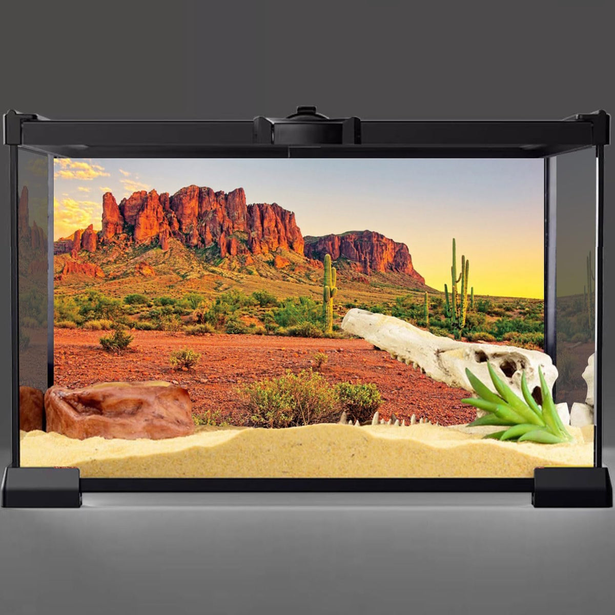 AWERT 24x12 in Terrarium Backdrop Desert Cactus Reptile Habitat - 48x20in/120x50cm - image 2