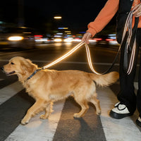 10FT Dog Leash with Traffic Handle Reflective Large Medium Dogs – Essentials for Dogs - 10ft x 1 in / orange - image 3