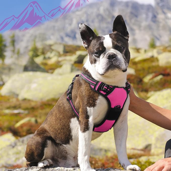 Eagloo Dog Harness Medium Sized Dog, No Pull Service Vest with Reflective Strips and Control Handle, Adjustable and Comfortable for Walking, No Choke Pet Harness with 2 Metal Rings, Rose Red, M