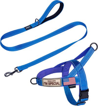 Annchwool No Pull Dog Harness with Soft Padded Handle - M / Blue Set
