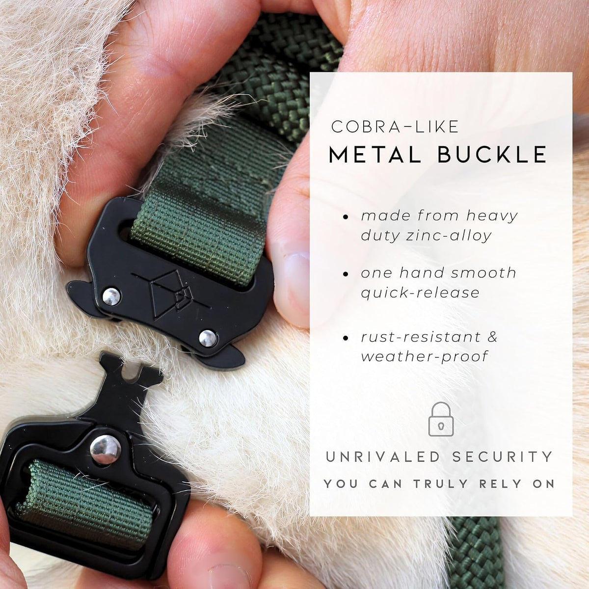 MADE TO ROAM Explorer Dog Collar - Maine Marina / Size 4 - image 4