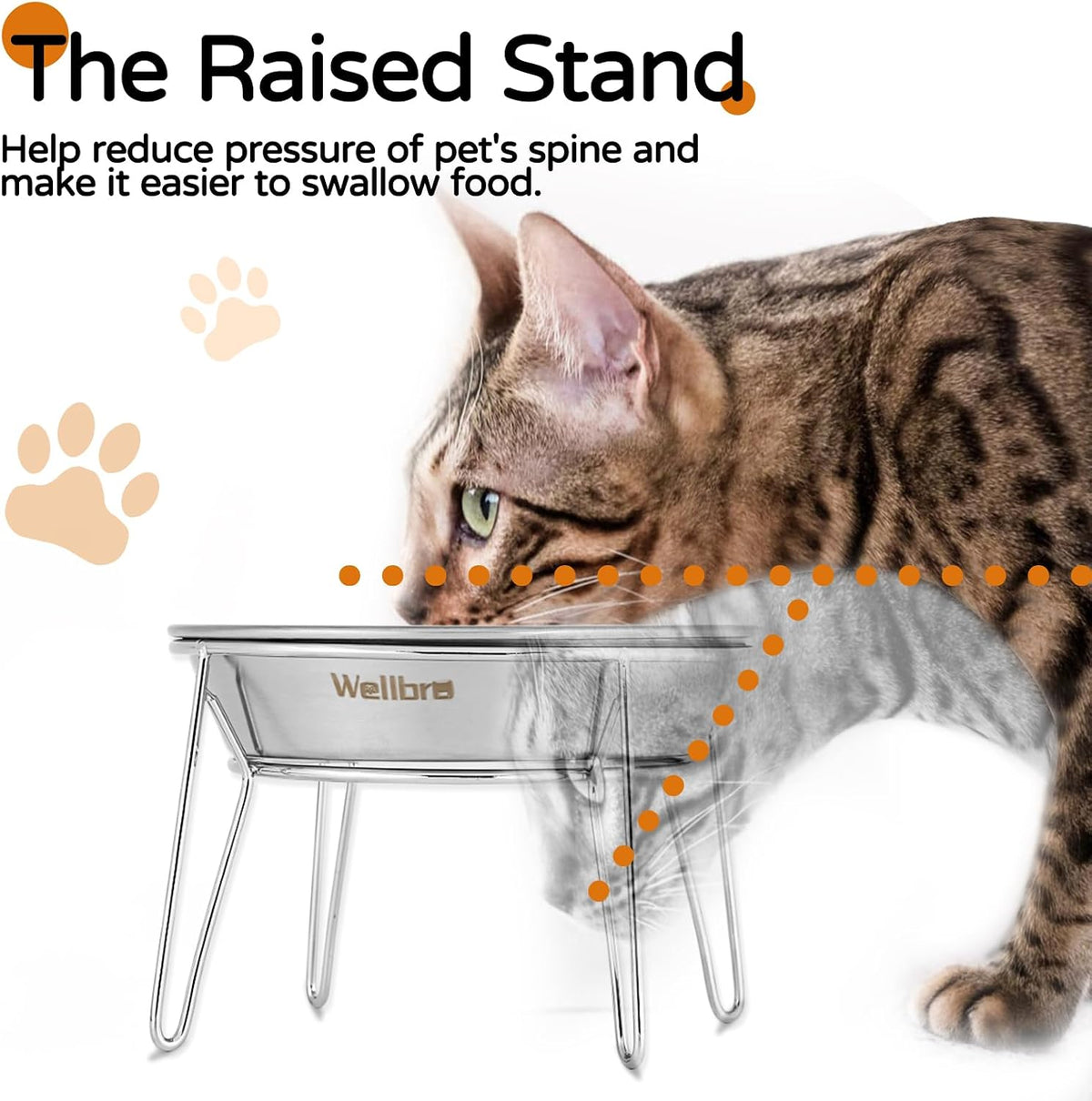 Elevated Cat Bowls, Wide Stainless Steel Cat Food Bowls with Metal Stand Whisker Stress-Free - Plate and Bowl Set - image 3