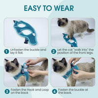 Cat Harness and Leash - Ultra Light Escape Proof Kitten Collar Cat Walking Jacket with Running - Turquoise / Small - image 3