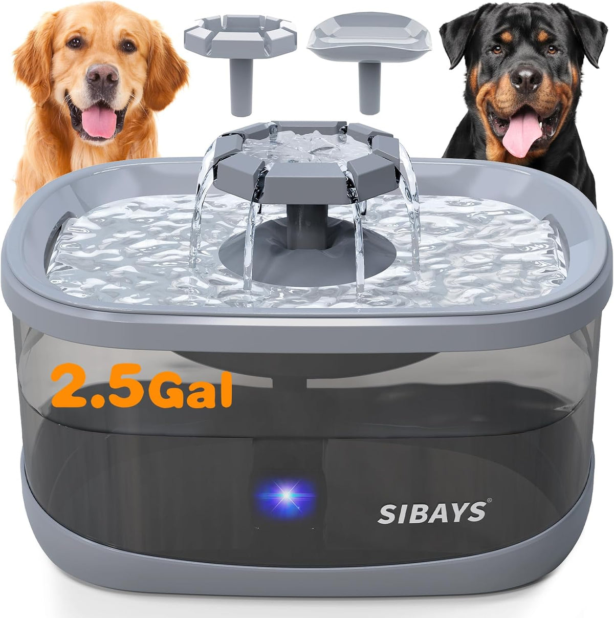 SIBAYS 2.5Gal/9.5L Dog Water Fountain for Large Dogs