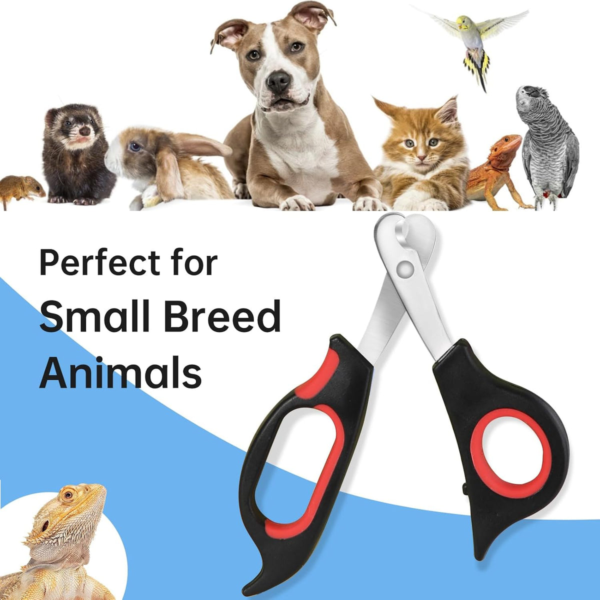 Bearded Dragon Nail Clippers with Precise Angled Edges – Essentials for Small Pets - Reddish Black - image 4