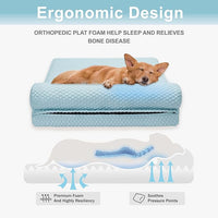 Tinaco Orthopedic Dog Couch Bed for Large Dogs, Cats - XX-Large, Washable, Removable Cover