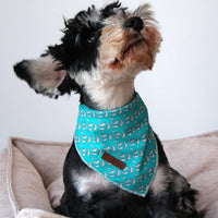 Lionet Paws Spring Daisy Dog Bandana Washable Cotton Handkerchief - Manatee / Small (Pack of 1) - image 2