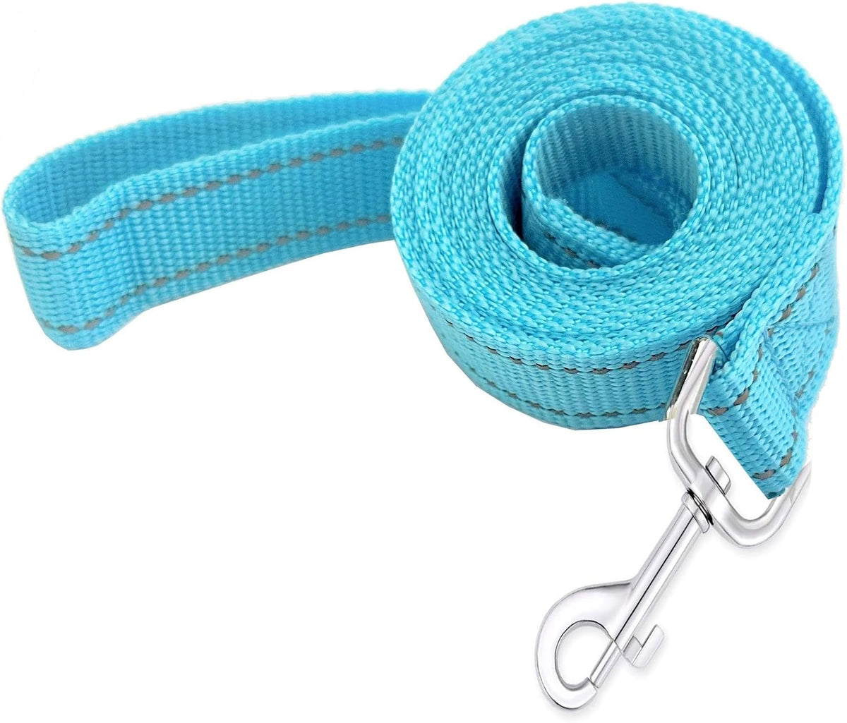 Nylon Dog Training Leash, Traction Rope - 1'' x 4 FT / Reflective Sky Blue