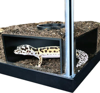 Reptile Corner Underground Cave Viewing Hide, Hognose Snake - Black