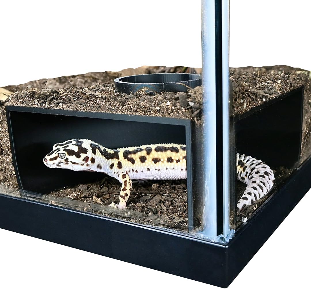 Reptile Corner Underground Cave Viewing Hide, Hognose Snake - Black