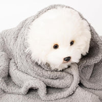 2 Blankets, Dog Cat Pet Blanket, Soft Warm Fleece, for Puppy - Beige+lightgray / 60"L x 40"W, 2/Pack - image 4
