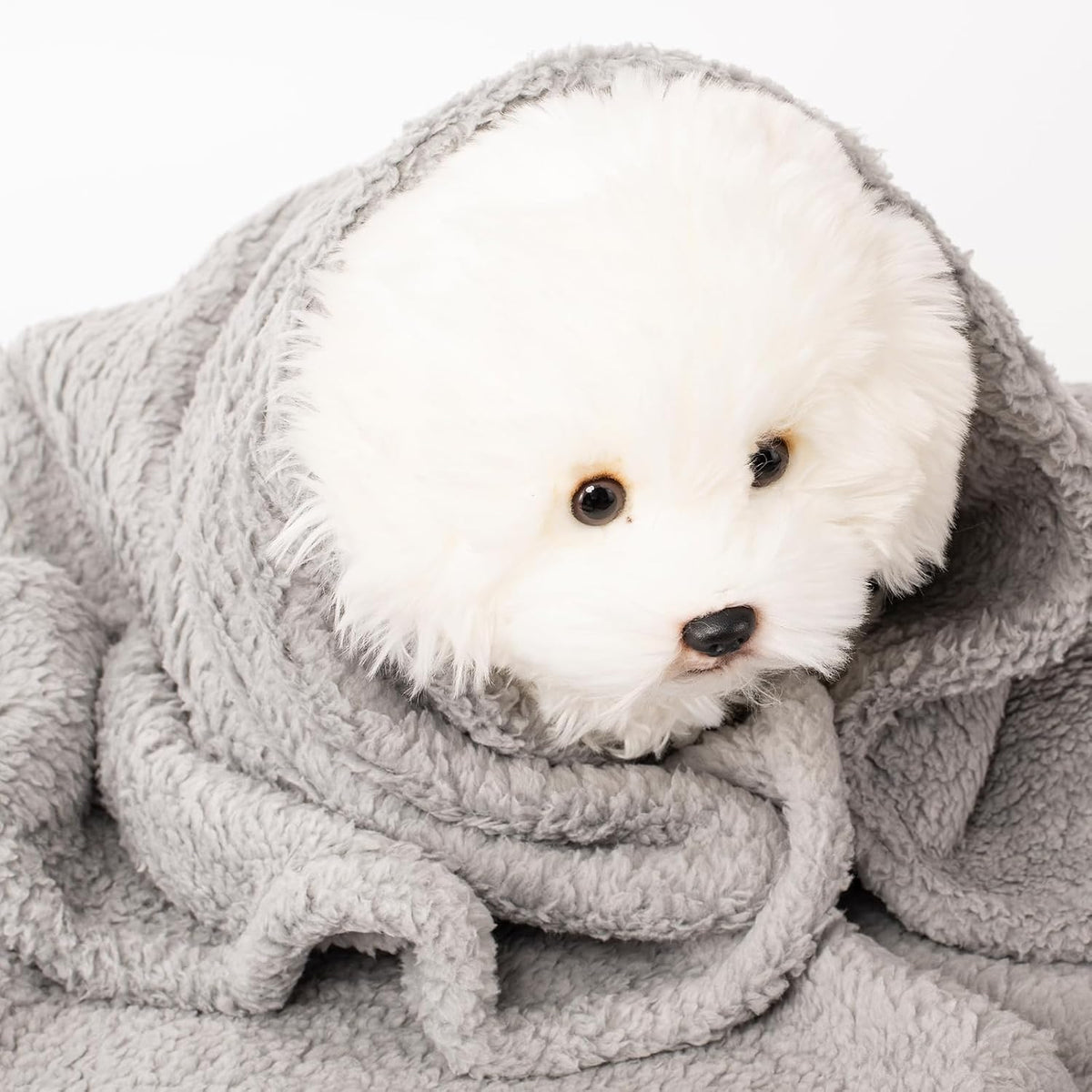2 Blankets, Dog Cat Pet Blanket, Soft Warm Fleece, for Puppy - Beige+lightgray / 60"L x 40"W, 2/Pack - image 4
