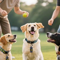 Metal Dog Poop Bag Holder 2-Pack w/Leash Clip - Black / 1 Count (Pack of 1) - image 2