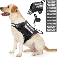 Service Dog Vest Harness and Leash Set+10 Patches - Large / Black