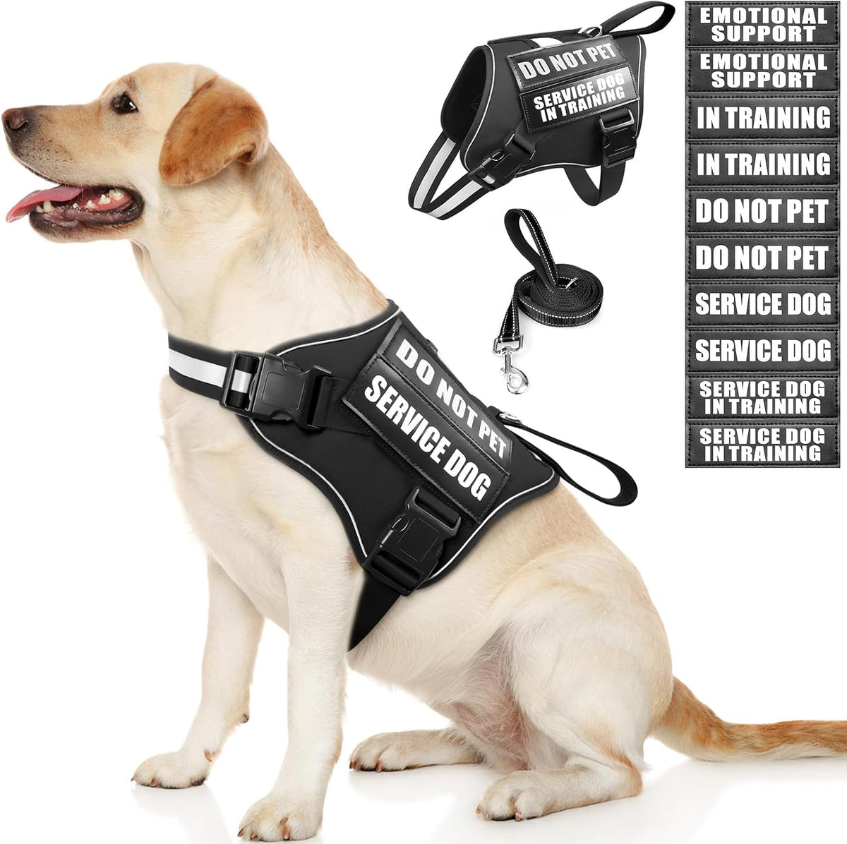 Service Dog Vest Harness and Leash Set+10 Patches - Large / Black