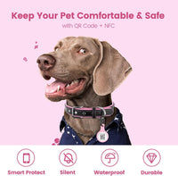 QR & NFC Pet ID Tag, Silent Silicone Dog Name Tag - Pink - image 3