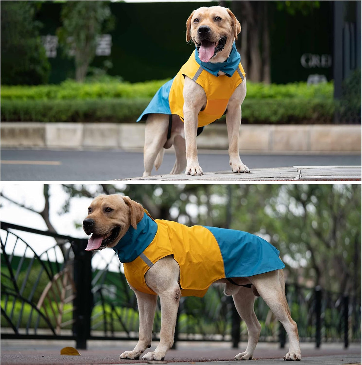 Barkworthies Dog Raincoat - XX-Large / Blue+Yellow - image 3