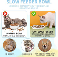 Ceramic Cat Slow Feeder,Shallow and Wide Opening Dish for Whisker Friendly – Essentials for Cats - 3 Rings Maze - image 4