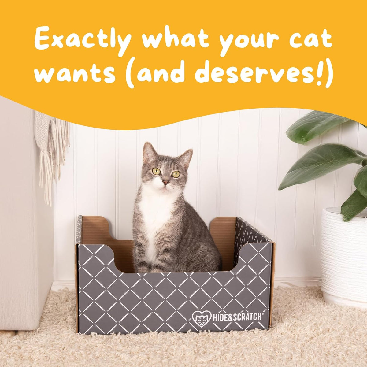 Hide & Scratch Cardboard Cat Scratcher Box & Bed Dark Grey Diamond Pad – Essentials for Cats - Grey - image 4