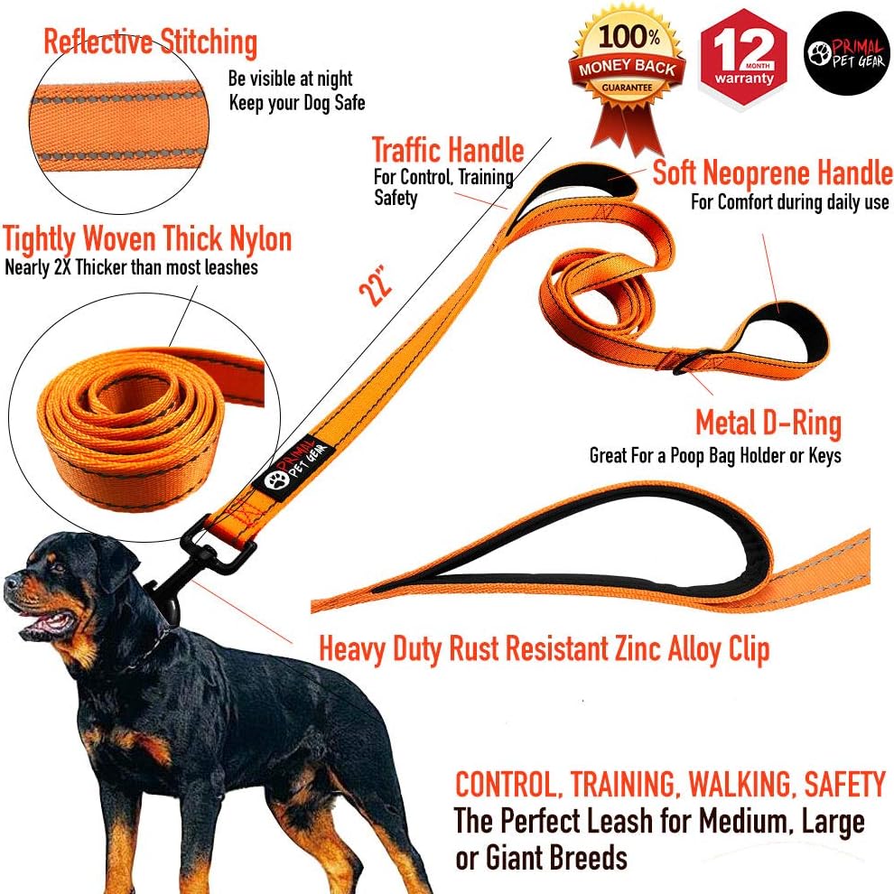 Dog Leash 6ft Long, Traffic Padded Two Handle, Heavy Duty - 6FT / Orange - image 2