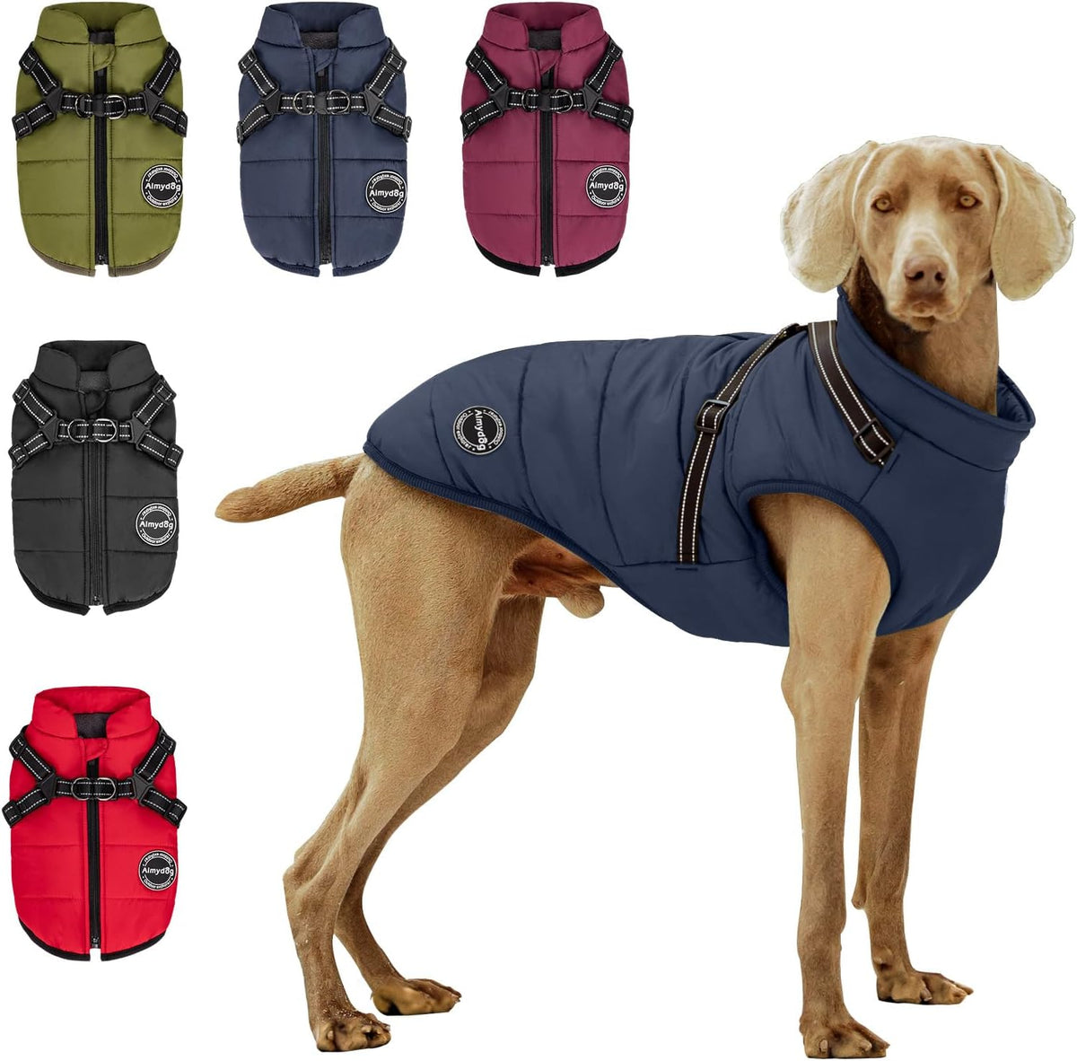 Warm Dog Winter Coat, Fashion Sports Cold Weather Jacket with Built-in Harness, Reflective - X-Large / Blue
