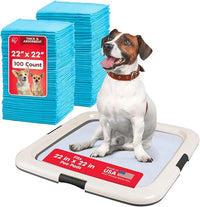 IRIS USA Pee Pad Holder for Puppy Training, Secured Latches, Non-Skid Feet, Fits 22"x22" Pads, Dark Gray + 100 Puppy Pads, Leak Proof, Quick Dry, 6-Layer Absorbent Design, 22"x22"
