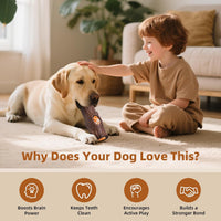 Durable Dog Puzzle Toy for Medium/Large Dogs – Essentials for Dogs - Brown & Blue / Tree stump 2 Pack - image 3