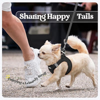 rabbitgoo Dog Harness Small Sized and Leash Set, Step in Soft Light Puppy Vest, Breathable Mesh Pet Harness, Reflective for Safe Easy Walking, Black XS
