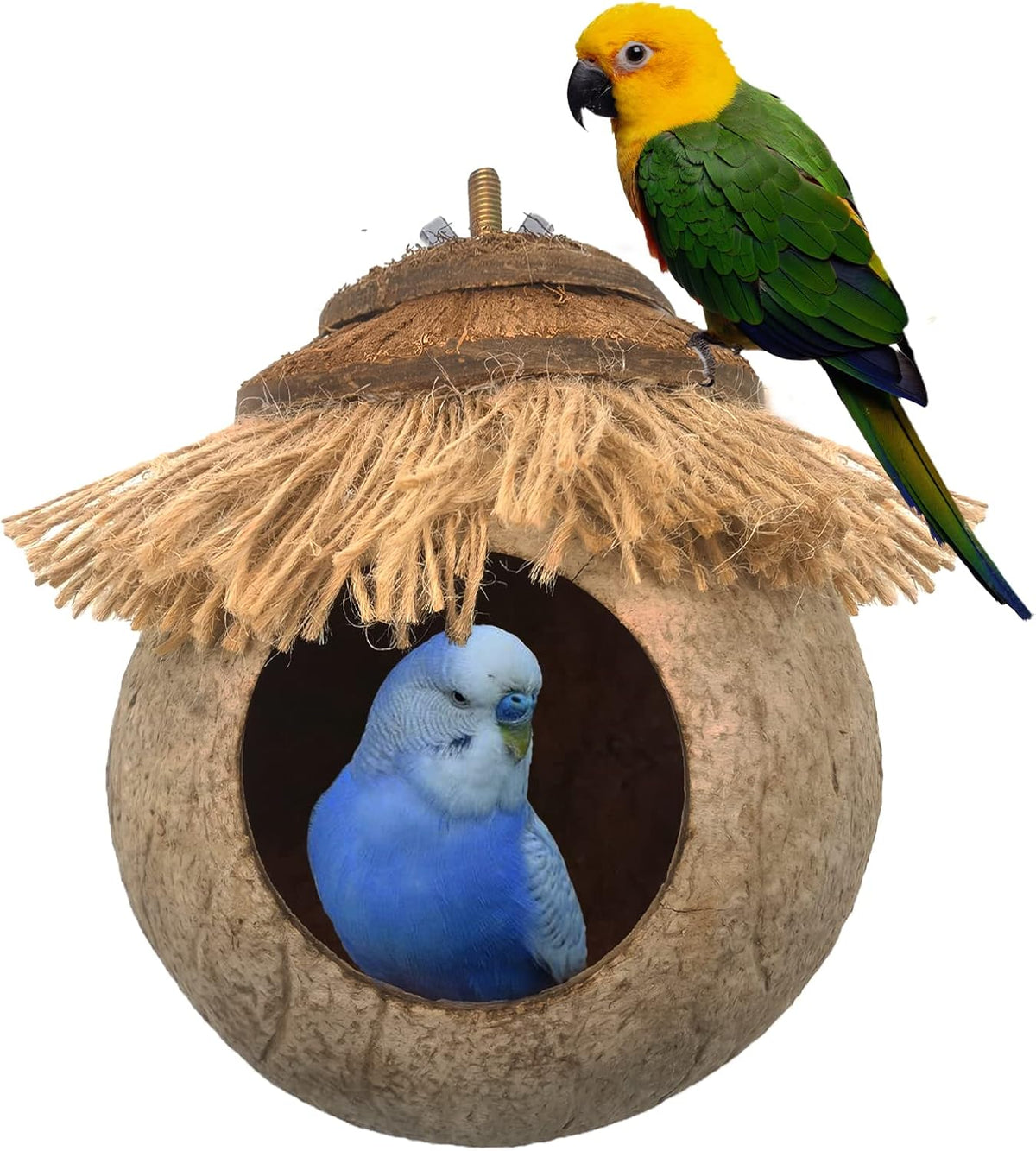 Natural Coconut Hide with Ladder Perches Hanging Bird House Toy - 1pc Gasket and Screw Connection