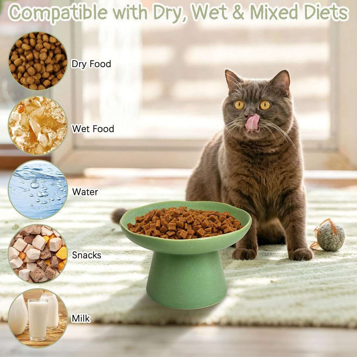 VCEPJH Elevated Cat Bowls 6.1in Wide Shallow Ceramic Raised Food Dish – Essentials for Cats - Green(Pack of 1) - image 4