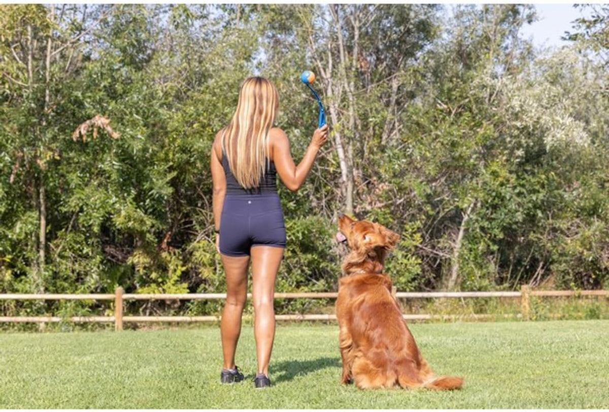 Chuckit! Classic 26M Dog Ball Launcher - Sport / 12in - image 2