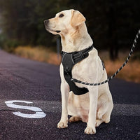 IVY&LANE No Pull Dog Harness for Medium Dogs, Dog Vest Harness with Leash, Safety Belt and Storage Strap, Fully Adjustable Harness, 360° Reflective Strip, Soft Handle (Black, M)
